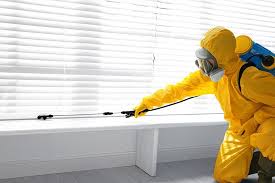 Best Indoor Pest Control  in Claypool, AZ